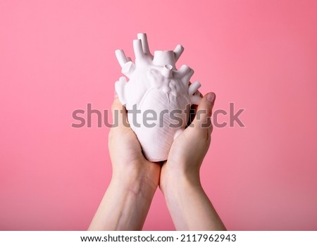 Hands holding heart organ layout. Health care or organ donation concept. High quality photo