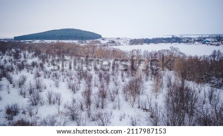 winter wildlife in the Russian federation