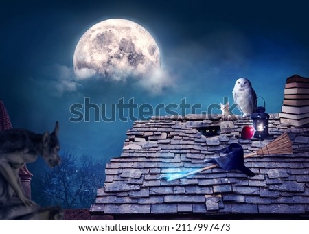 Magical background of a fantasy scene – house roof with cute black cat and owl lit by lantern and the full moon. Broom and witch’s hat. Soft blur for a depth of field effect. Photo composite  Royalty-Free Stock Photo #2117997473
