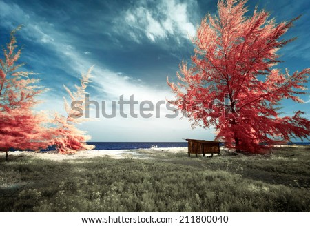 Nature in infrared
