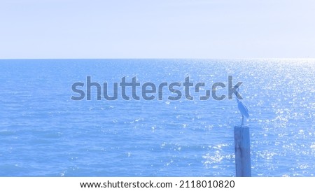 White egret bird on the wooden pole with Sun light reflecting or sparkling glitter on water of sea or ocean with beautiful sky blue light tone.