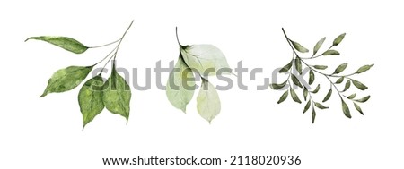 Set of watercolor green leaves elements. Collection botanical vector isolated on white background suitable for Wedding Invitation, save the date, thank you, or greeting card. Royalty-Free Stock Photo #2118020936