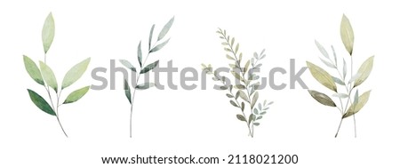 Set of watercolor green leaves elements. Collection botanical vector isolated on white background suitable for Wedding Invitation, save the date, thank you, or greeting card. Royalty-Free Stock Photo #2118021200
