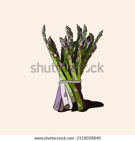 asparagus vector hand drawing illustration isolated on white background, asparagus vegan food vector illustration Royalty-Free Stock Photo #2118038840