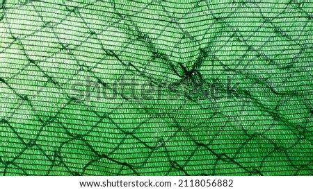 Green sheet and wire fence