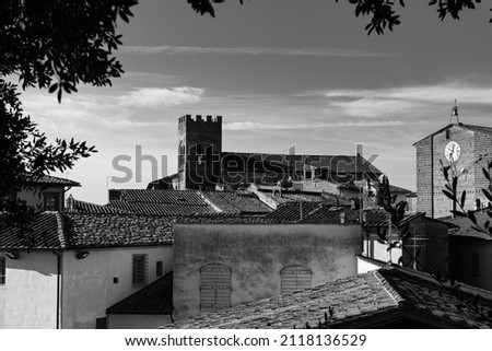 Fucecchio is an Italian town of 23,076 inhabitants in the metropolitan city of Florence in Tuscany, in the lower Valdarno.