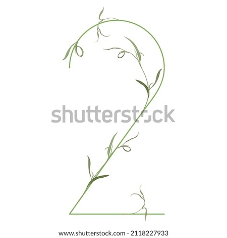 Number 2. Digit two. Botanical digit. Beautiful floral font with delicate green leaves or branches of grass. Isolated vector illustration. On white background.
