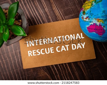 Top view green plant and earth globe with text INTERNATIONAL RESCUE CAT DAY on wooden background