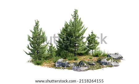 Cutout rock surrounded by fir trees. Garden design isolated on white background. Decorative shrub for landscaping. Clipping mask for composition. 3d rendering
