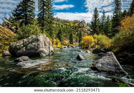 River stream in the mountains. Mountain river stream in woods Royalty-Free Stock Photo #2118293471