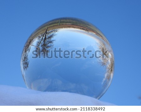 winter landscape with a tree and blue sky photographed through a glass ball