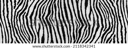Background, pattern, texture, wallpaper, zebra print Royalty-Free Stock Photo #2118342341