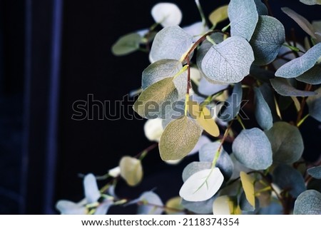Artificial plant made of fabric and plastic. A fragment of a tree made of polypropylene fiber located on the background of a dark wall. selective focus