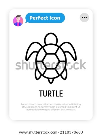Cartoon turtle thin line icon. Modern vector illustration for logo with reptile.