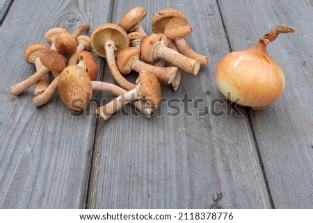 A group of fresh-harvest mushrooms and one onion on the background of a wooden table. Raw mushrooms for publication, poster, screensaver, wallpaper, postcard, banner, cover, post. High quality photo