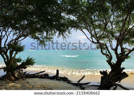 Southeast Asia.Gili islands.Sea view through the trees.Clean beach.Crystal clear sea. Royalty-Free Stock Photo #2118408662