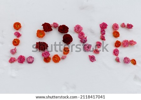 The word LOVE laid out of flowers in the snow, for Saint Valentine's Day.