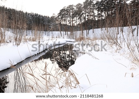Forest stream in winter with warm water