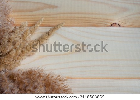 Dry twigs, spikelets on the background of natural wood. Template, blank for a postcard, banner. Flat lay, top view, copy space