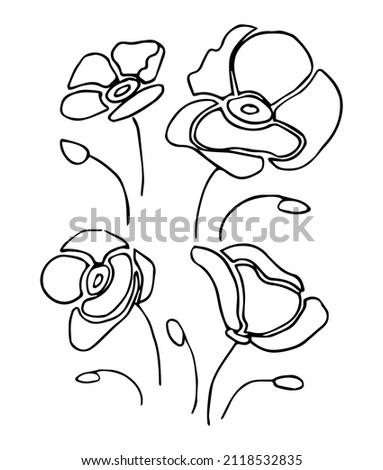 Set of hand drawn outline flowers, black botanical illustrations isolated on white background. Doodle poppies drawing