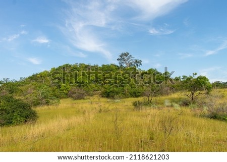 Savanna landscape in the caatinga biome - Oeiras, Piaui state, Brazil Royalty-Free Stock Photo #2118621203