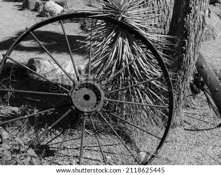 A Stagecoach Wheel leaning on a tree. Gives the look of the old west. 