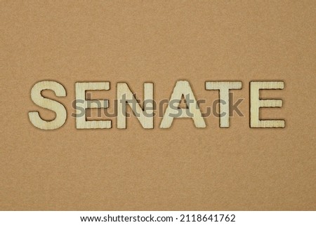 gray word senate made of wooden letters on brown background
