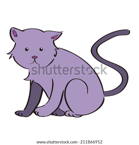an isolated cat on a white background