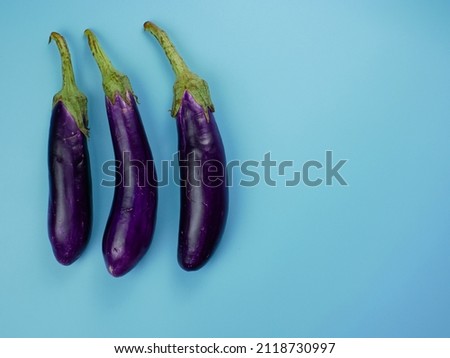 purple eggplant on a blue background. healthy food concept for diet.