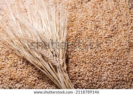 barley grains as background, top view Royalty-Free Stock Photo #2118789146
