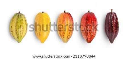 Set of fresh cocoa pods isolated on white background. Top view. Flat lay. Royalty-Free Stock Photo #2118790844