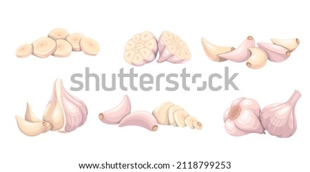 Garlic set, vegetable vector illustration. Whole heads, heaps whole and sliced garlic cloves. Common seasoning worldwide, spice and food flavoring. Royalty-Free Stock Photo #2118799253