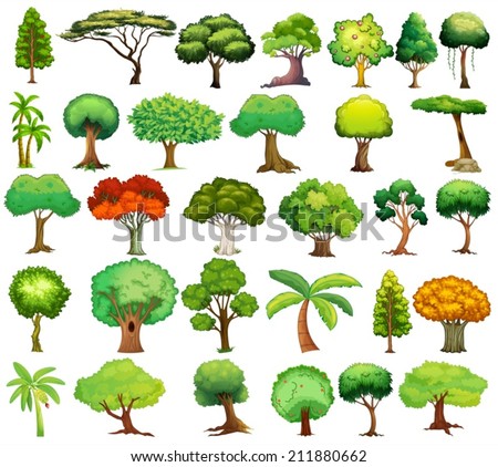 Illustration of different kind of tree