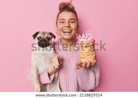 Cheerful female pet owner poses with pedigree pug dog and doughnuts glad to celerates domestic animal birthday wears knitted sweater isolated over pink background. Happy celebrations concept