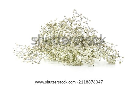 Bouquet of white flowers gypsophila isolated on a white background. Royalty-Free Stock Photo #2118876047