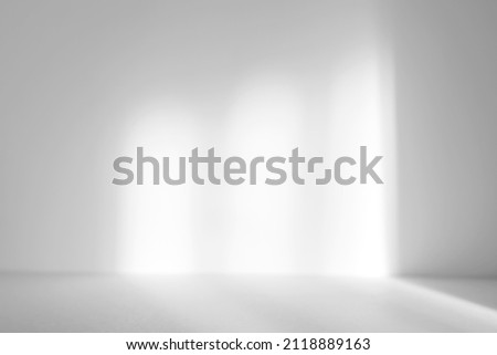 Abstract white studio background for product presentation. Empty room with shadows of arch window. 3d room with copy space. Summer concert. Blurred backdrop.