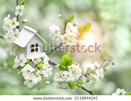 miniature toy house and cherry flowers on abstract green backdrop. concept of mortgage, construction, rental, property. family, eco-home symbol. spring season nature background. template for design