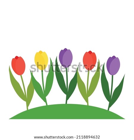 Vector illustration depicting tulips in a flower bed. Clip-art on a transparent background.