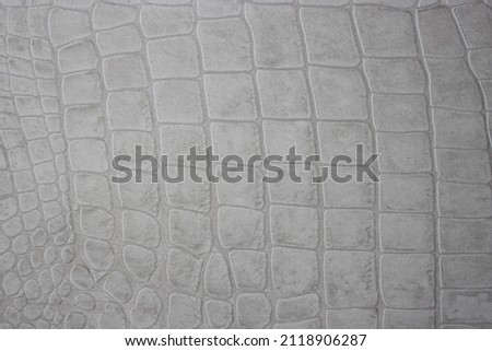 Close up of black Crocodile,Alligator belly skin texture use for wallpaper background.Luxury Design pattern for Business and Fashion.Top view surface in backdrop.