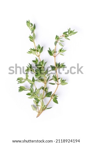 Fresh thyme sprig herbs isolated on white background. Top view. Flat lay. Royalty-Free Stock Photo #2118924194