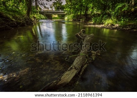 Long exposure photo of wild river lined with summer trees with tree branch foreground