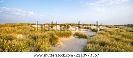 Dune beach panorama with beach grass Royalty-Free Stock Photo #2118973367