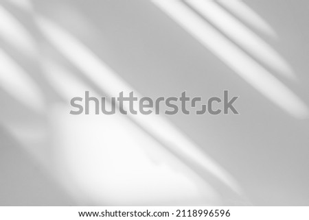 Gray shadow and light blur abstract background on white wall  from window.  Architecture stripe dark shadows indoor in room  background, monochrome, black and white

