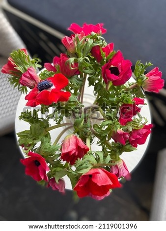 Bouquet of decorative red poppies with a blue core in a classic interior on a white table