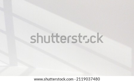 Shadows on wall. Abstract light, black shadow overlay from window on white texture wall. Sunlight architecture background. For product presentation, backdrop and mockup, summer seasonal concept Royalty-Free Stock Photo #2119037480