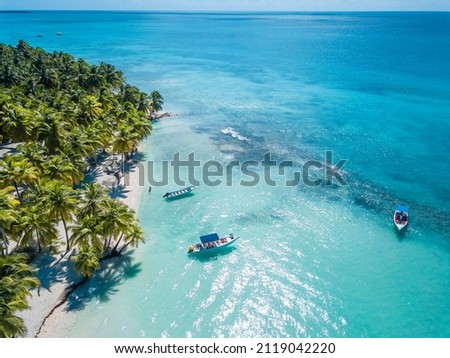 Aerial view of Saona Island in Dominican Republuc. Caribbean Sea with clear blue water and green palms. Tropical beach. The best beach in the world. Royalty-Free Stock Photo #2119042220