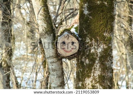 A smiling face painted on a tree cut in a winter forest.