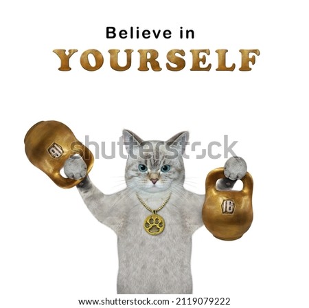 An ashen cat athlete lifts two golden sixteen kilogram kettlebells. Believe in yourself. White background. Isolated.