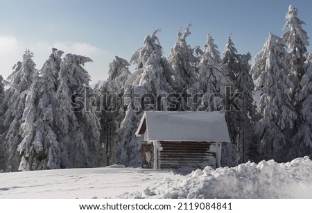 Wooden log getaway tiny cabin in snowy pine forest on Carpathian mountains in Ukraine