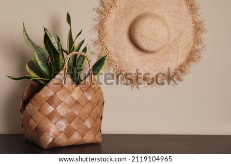 Stylish wicker basket with green plant on wooden table indoors Royalty-Free Stock Photo #2119104965